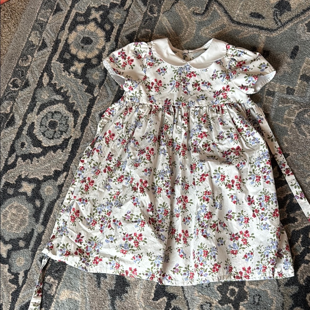 Floral Print Dress with Peter Pan Collar- Edgehill